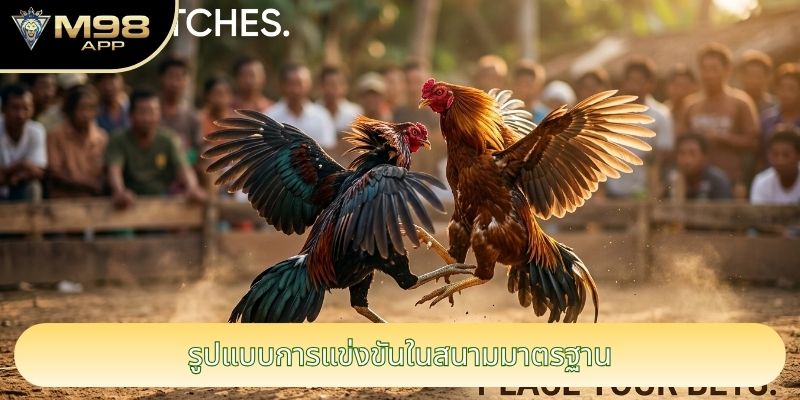 รูปแบบการแข่งขันในสนามมาตรฐาน รูปแบบการแข่งขันในสนามมาตรฐาน